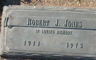 Robert J Jones