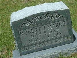Robert J Marks