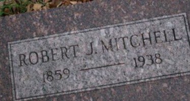 Robert J Mitchell