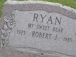 Robert J Ryan