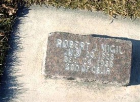 Robert J Vigil