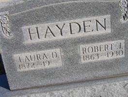 Robert Jenkins Hayden