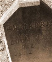 Robert L "Bob" Harris Robert L "Bob" Harris