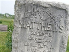 Robert L. Matthews