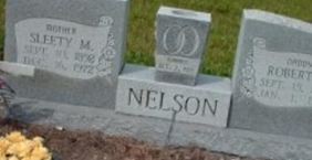Robert L Nelson