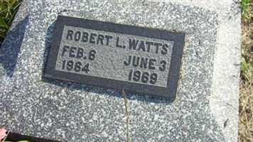 Robert L Watts
