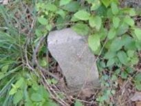 Robert Lee Etheridge (2295410.jpg)