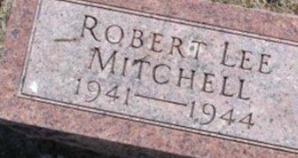 Robert Lee Mitchell Robert Lee Mitchell