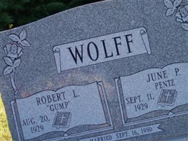 Robert Lee Wolff