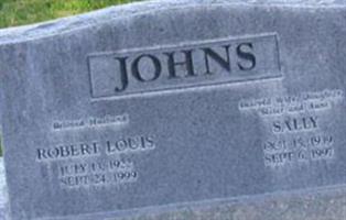 Robert Louis Johns