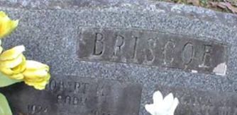 Robert M. "Andy" Briscoe