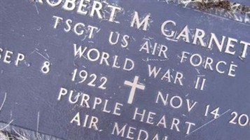 Robert M Garnett