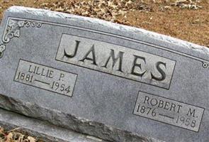 Robert M. James