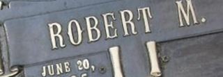 Robert M Trapp