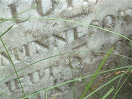 Robert Mayne Luther