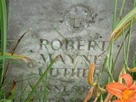Robert Mayne Luther