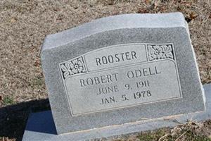 Robert Odell