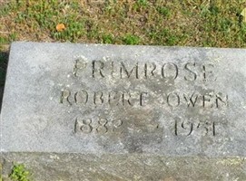 Robert Owen Primrose