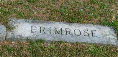 Robert Owen Primrose