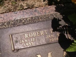Robert P Matthews Robert P Matthews