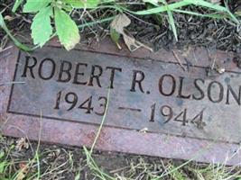 Robert R Olson
