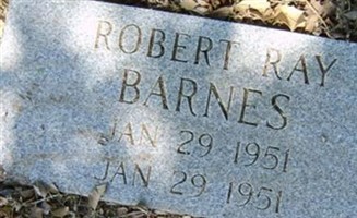 Robert Ray Barnes