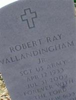 Robert Ray Vallandingham, Jr