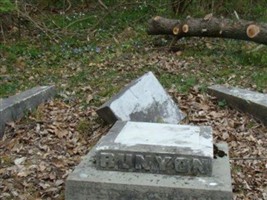 Robert Runyon