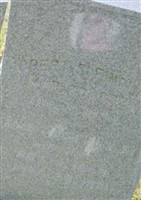 Robert S Findlay Robert S Findlay