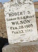 Robert S. Wilson Robert S. Wilson