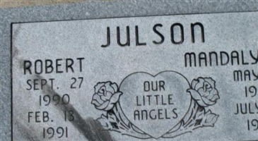 Robert Sean Donnelly Julson