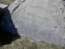 Robert Stringfellow Walker