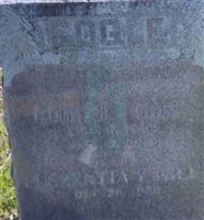 Robert T. Fogle Robert T. Fogle
