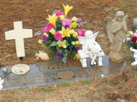 Robert Thurston "Bobby" Ginn