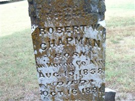 Robert W Chapman