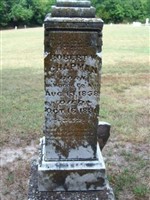 Robert W Chapman