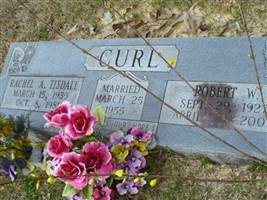 Robert W Curl