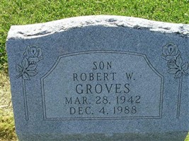 Robert W Groves