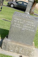 Robert W Haddock Robert W Haddock