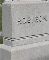 Robert W Robison Robert W Robison