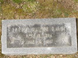 Robert Walker Raley