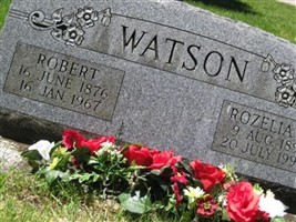 Robert Watson