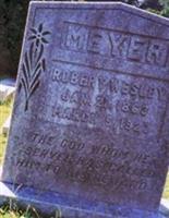 Robert Wesley Meyer