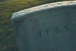 Robert Wilhelm Tess Robert Wilhelm Tess