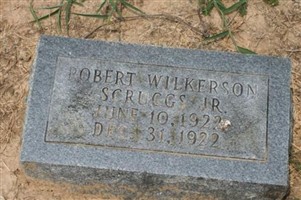 Robert Wilkerson Scruggs, Jr
