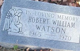 Robert William Watson