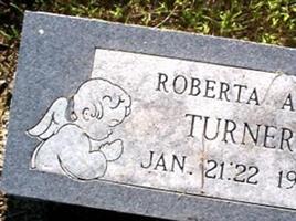 Roberta Ann Turner