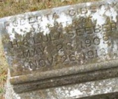 Roberta Gibson Seeber Roberta Gibson Seeber