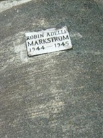 Robin Adelle Markstrom