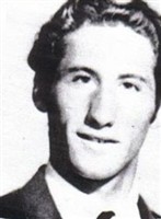 Robin Bellew